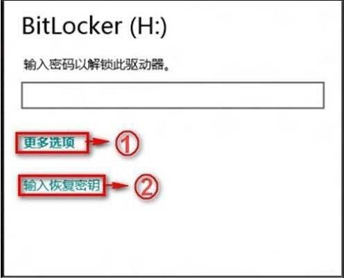 bitlocker密碼忘記了